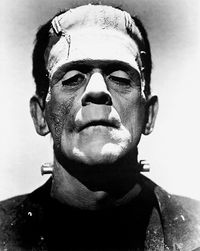 Frankenstein. Pr&oacute;logo de Mary Shelley: "A la ma&ntilde;ana siguiente anunci&eacute; que hab&iacute;a pensado una historia. Empec&eacute; ese d&iacute;a con las palabras: &ldquo;Una l&uacute;gubre noche de noviembre&rdquo;, consignando s&oacute;lo estrictamente los tremendos terrores del sue&ntilde;o que me despert&oacute;."