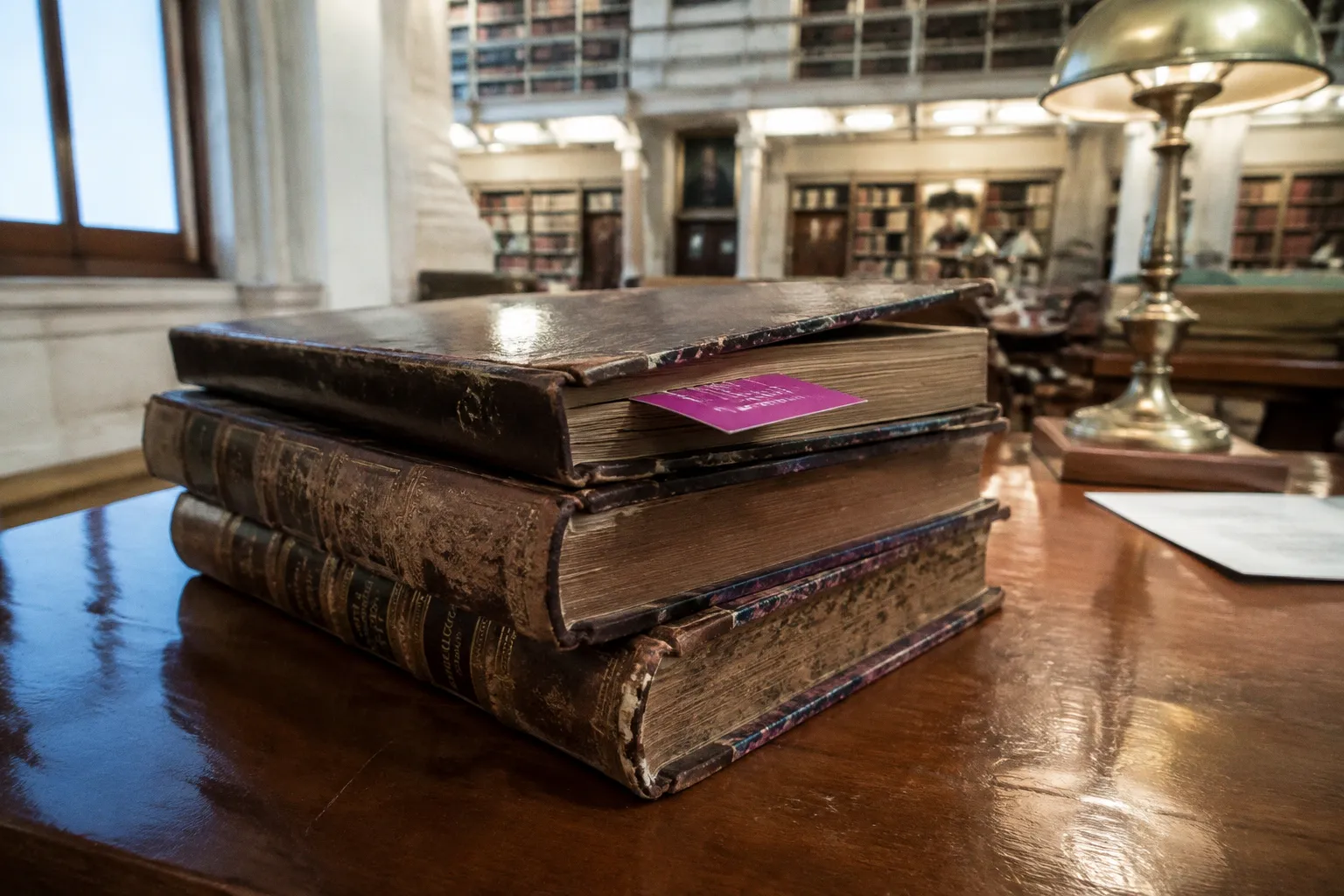 Canon literario: qué cambia al leerlo con perspectiva de género