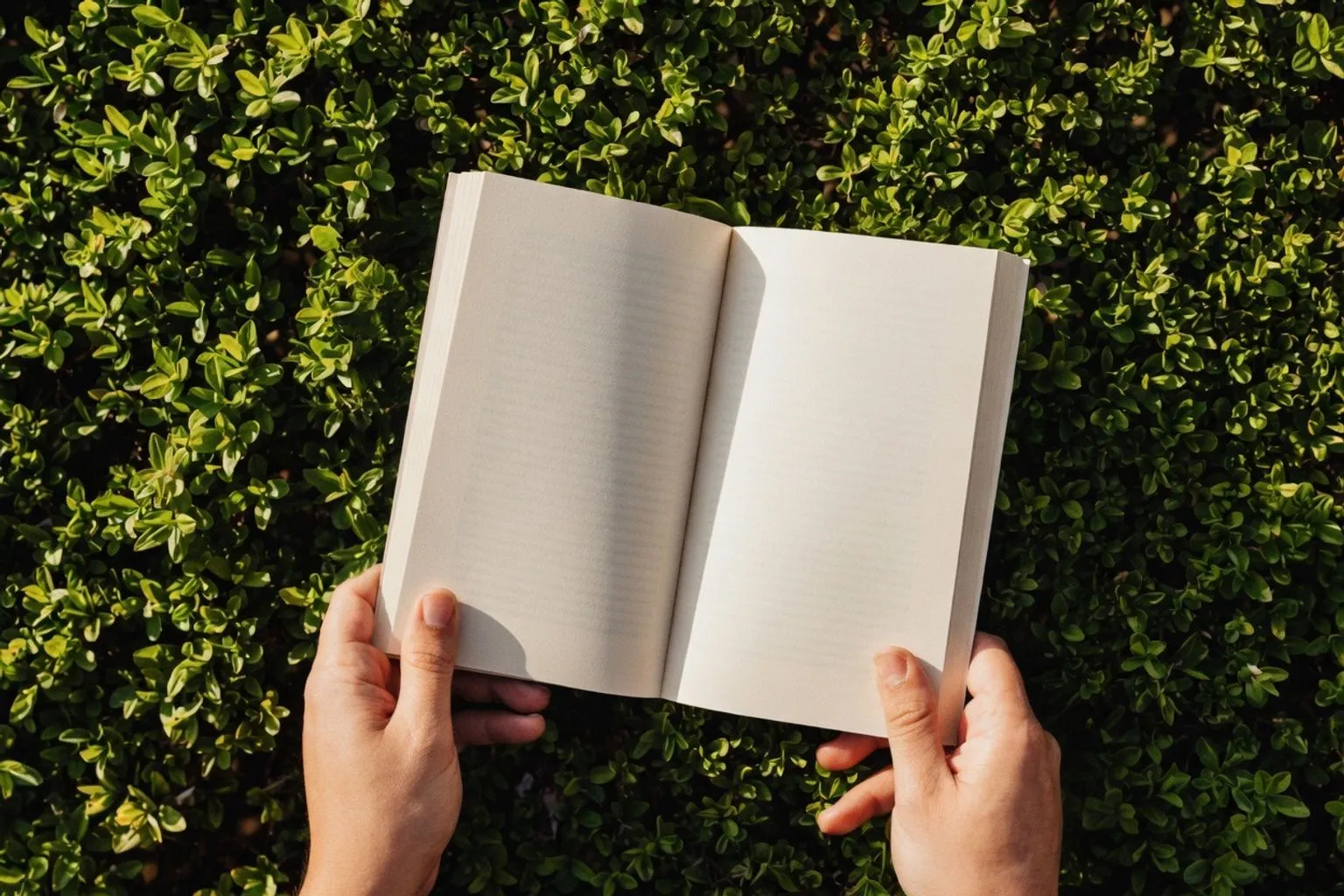 Cuatro lecturas imprescindibles para renovar tu biblioteca este septiembre
